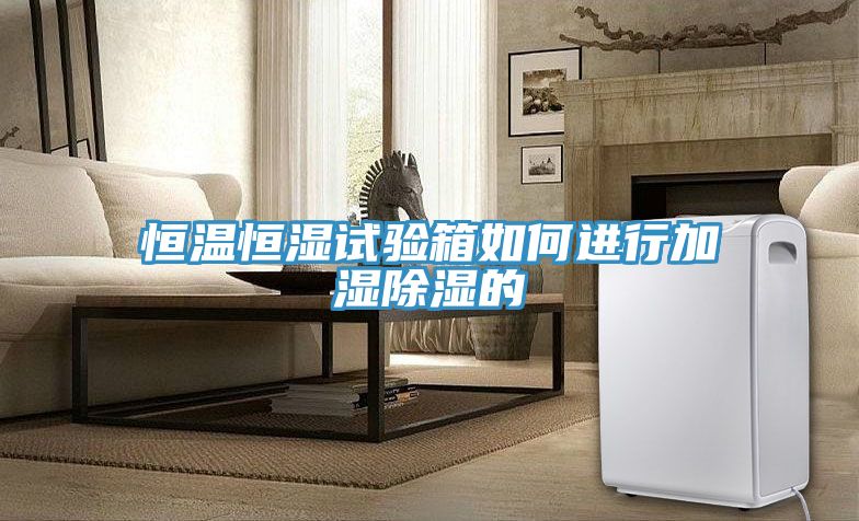 恒溫恒濕試驗箱如何進(jìn)行加濕除濕的