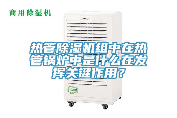 熱管除濕機組中在熱管鍋爐中是什么在發(fā)揮關(guān)鍵作用？