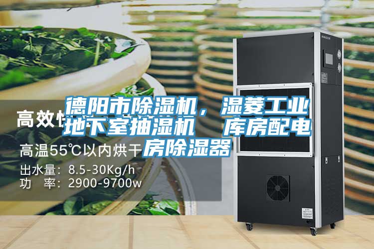 德陽(yáng)市除濕機，濕菱工業(yè)地下室抽濕機  庫房配電房除濕器