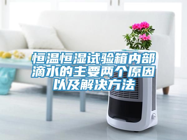 恒溫恒濕試驗箱內部滴水的主要兩個(gè)原因以及解決方法