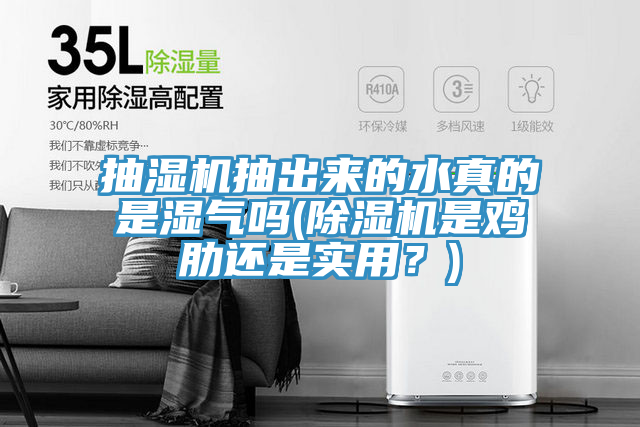 抽濕機抽出來(lái)的水真的是濕氣嗎(除濕機是雞肋還是實(shí)用？)