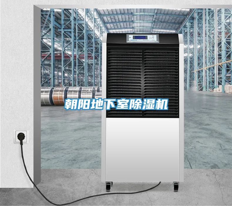 朝陽(yáng)地下室除濕機