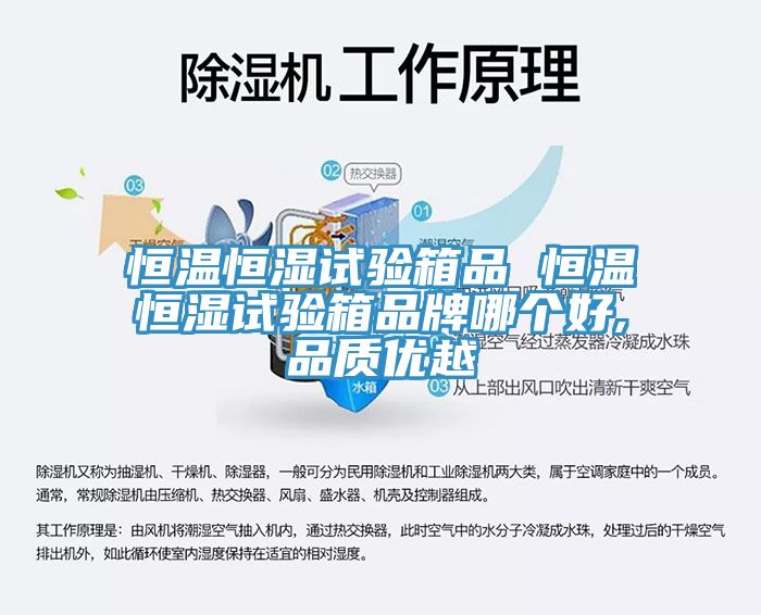 恒溫恒濕試驗箱品 恒溫恒濕試驗箱品牌哪個(gè)好,品質(zhì)優(yōu)越