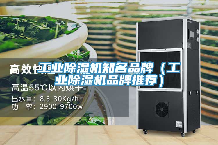 工業(yè)除濕機知名品牌（工業(yè)除濕機品牌推薦）