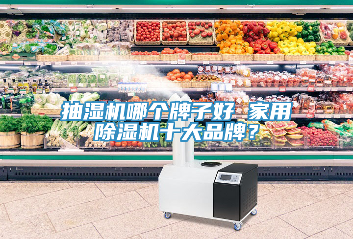 抽濕機哪個(gè)牌子好 家用除濕機十大品牌？