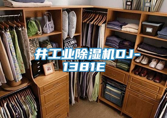 東井工業(yè)除濕機DJ-1381E