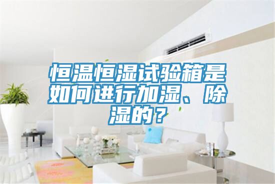 恒溫恒濕試驗箱是如何進(jìn)行加濕、除濕的？