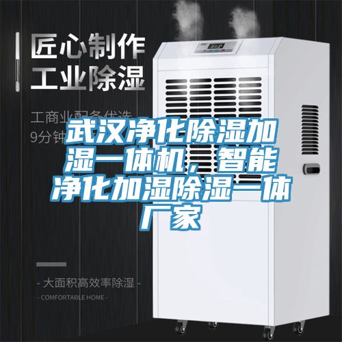 武漢凈化除濕加濕一體機，智能凈化加濕除濕一體廠(chǎng)家