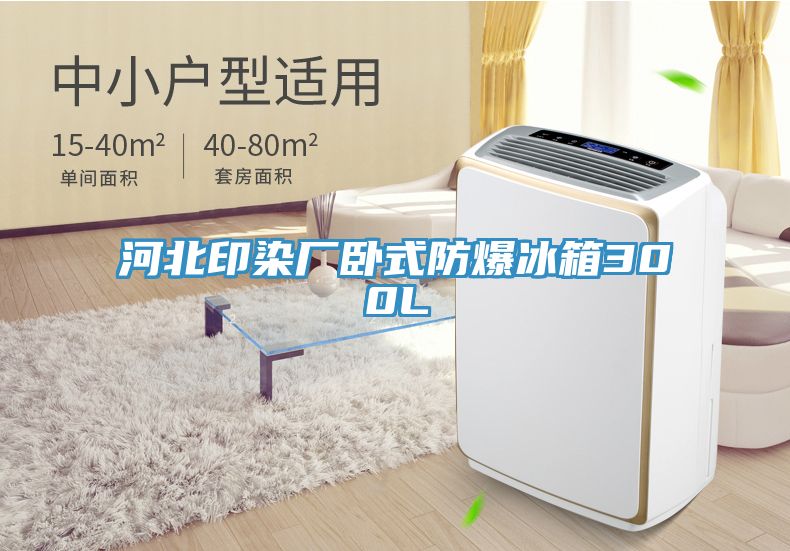 河北印染廠(chǎng)臥式防爆冰箱300L