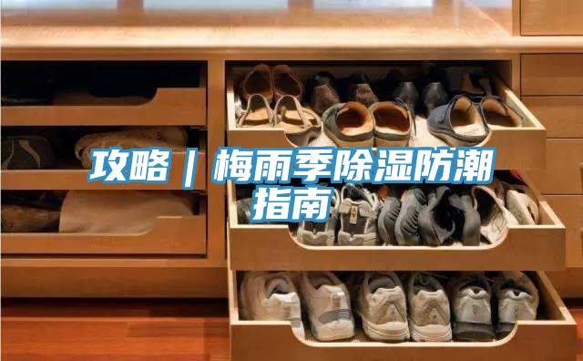 攻略|梅雨季除濕防潮指南