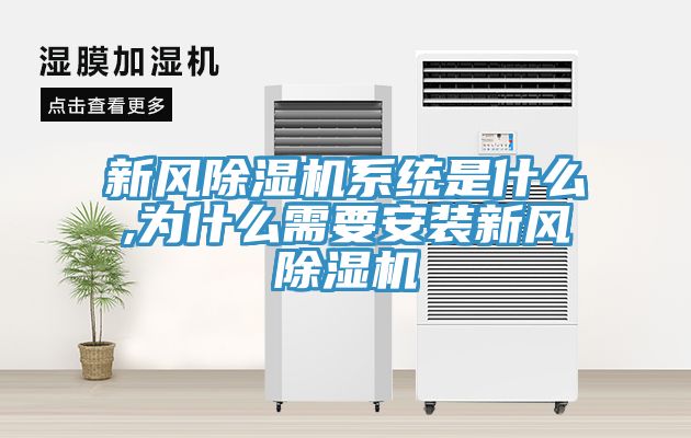 新風(fēng)除濕機系統是什么,為什么需要安裝新風(fēng)除濕機