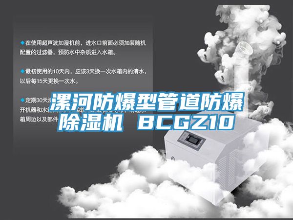 漯河防爆型管道防爆除濕機 BCGZ10