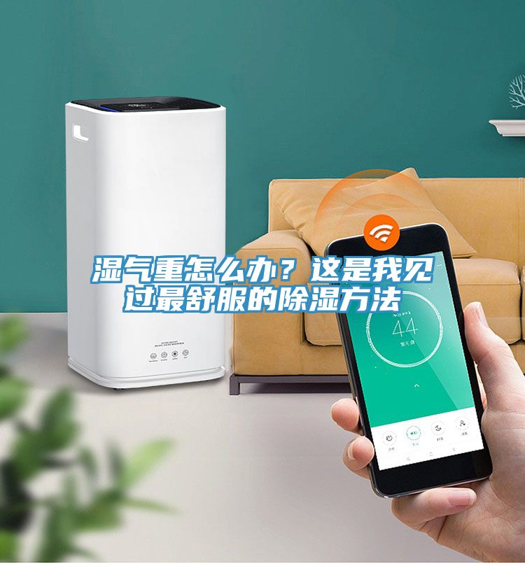 濕氣重怎么辦？這是我見(jiàn)過(guò)最舒服的除濕方法