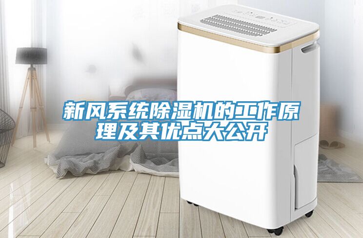 新風(fēng)系統除濕機的工作原理及其優(yōu)點(diǎn)大公開(kāi)