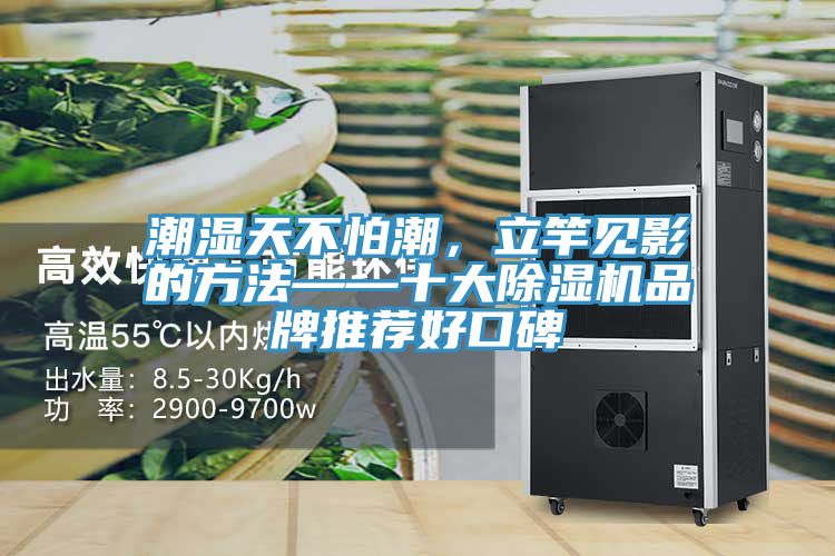 潮濕天不怕潮，立竿見(jiàn)影的方法——十大除濕機品牌推薦好口碑