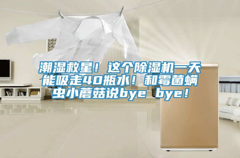 潮濕救星！這個(gè)除濕機一天能吸走40瓶水！和霉菌螨蟲(chóng)小蘑菇說(shuō)bye bye！