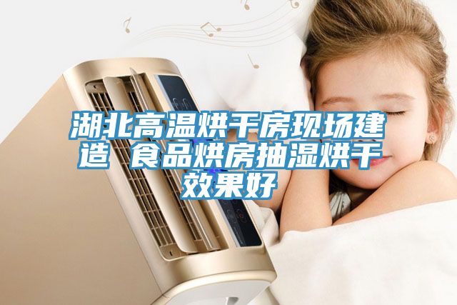 湖北高溫烘干房現場(chǎng)建造 食品烘房抽濕烘干效果好