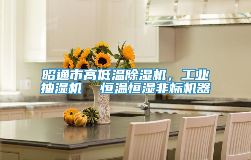 昭通市高低溫除濕機，工業(yè)抽濕機  恒溫恒濕非標機器