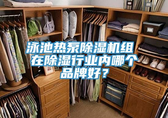 泳池熱泵除濕機組 在除濕行業(yè)內哪個(gè)品牌好？