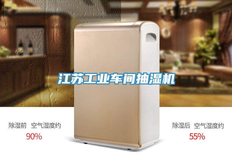 江蘇工業(yè)車(chē)間抽濕機