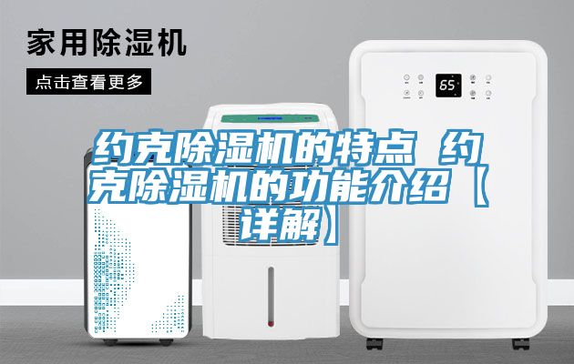 約克除濕機的特點(diǎn) 約克除濕機的功能介紹【詳解】