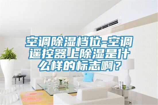 空調除濕檔位-空調遙控器上除濕是什么樣的標志??？