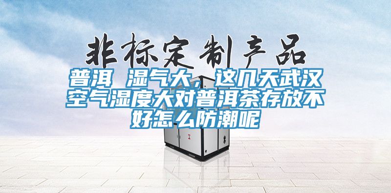 普洱 濕氣大，這幾天武漢空氣濕度大對普洱茶存放不好怎么防潮呢