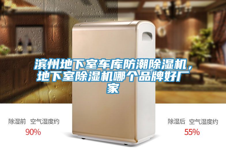 濱州地下室車(chē)庫防潮除濕機，地下室除濕機哪個(gè)品牌好廠(chǎng)家