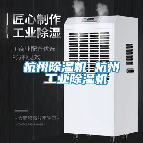 杭州除濕機 杭州 工業(yè)除濕機