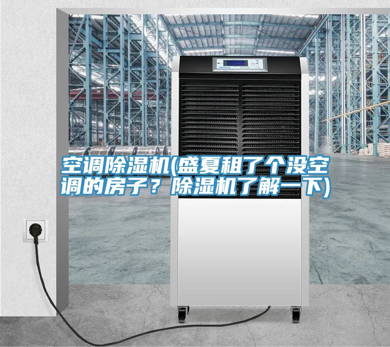 空調除濕機(盛夏租了個(gè)沒(méi)空調的房子？除濕機了解一下)