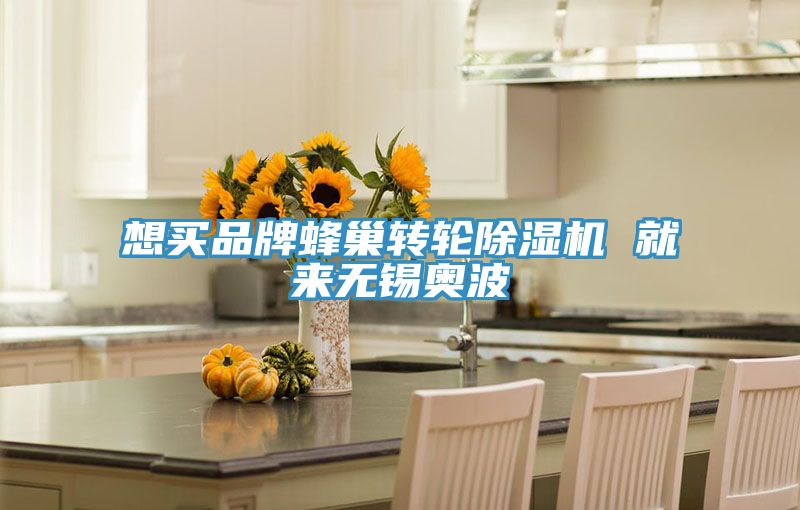 想買(mǎi)品牌蜂巢轉輪除濕機 就來(lái)無(wú)錫奧波