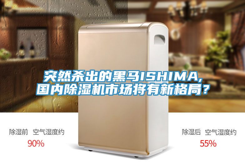 突然殺出的黑馬ISHIMA,國內除濕機市場(chǎng)將有新格局？
