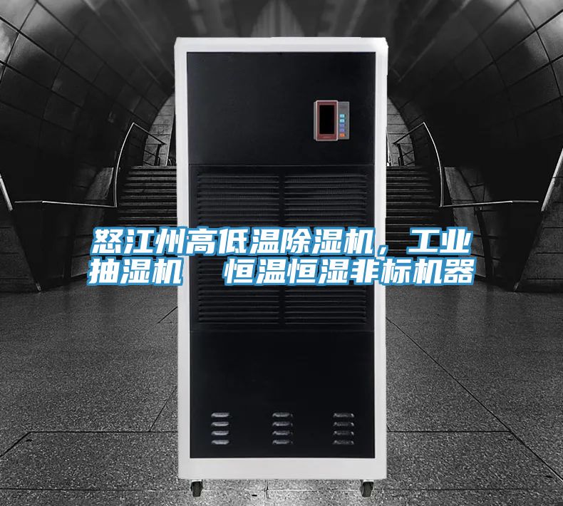 怒江州高低溫除濕機，工業(yè)抽濕機  恒溫恒濕非標機器