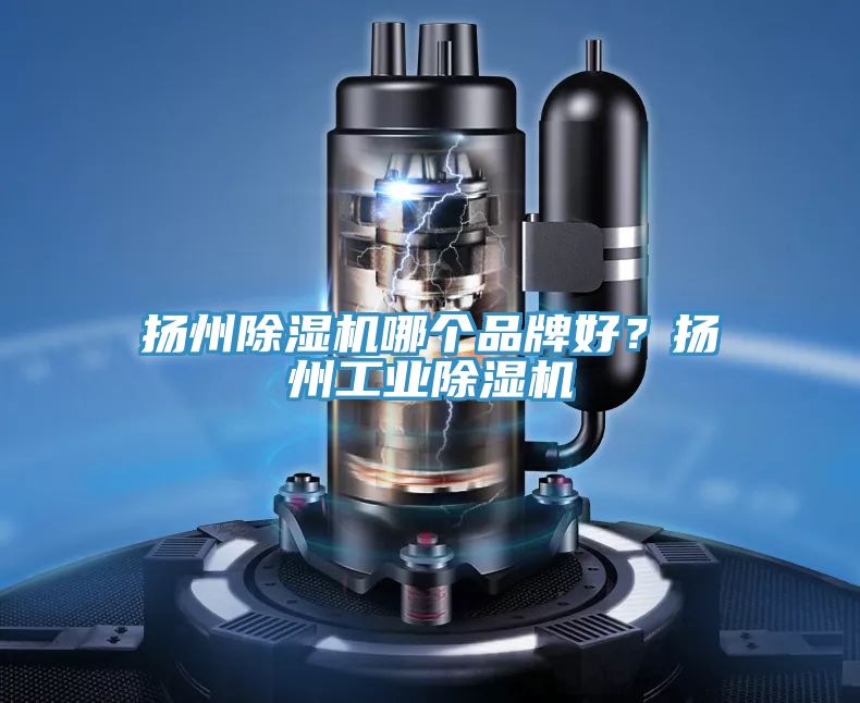 揚州除濕機哪個(gè)品牌好？揚州工業(yè)除濕機
