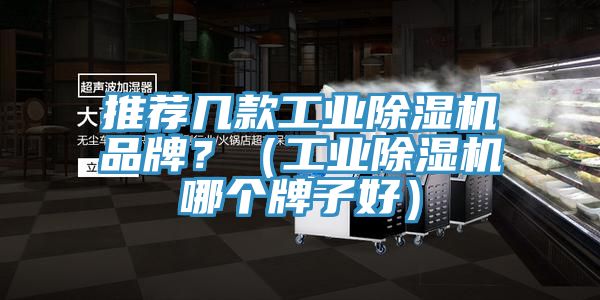 推薦幾款工業(yè)除濕機品牌？（工業(yè)除濕機哪個(gè)牌子好）