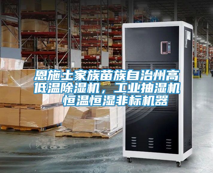 恩施土家族苗族自治州高低溫除濕機，工業(yè)抽濕機  恒溫恒濕非標機器