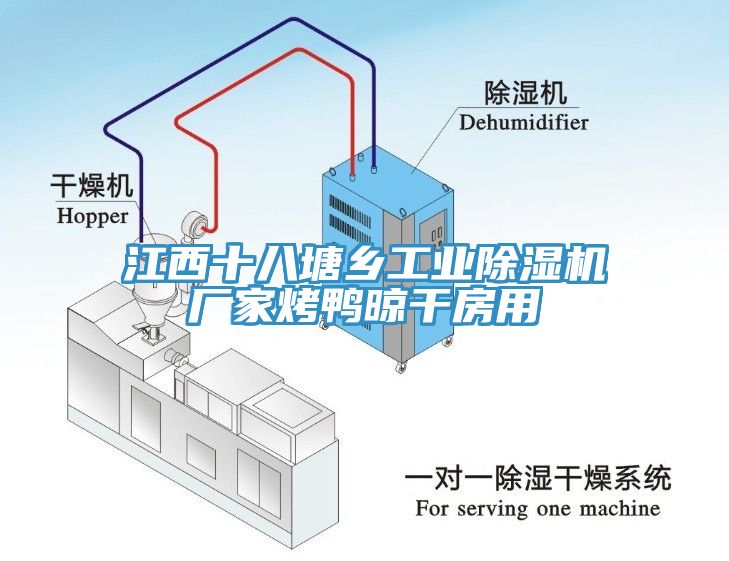 江西十八塘鄉工業(yè)除濕機廠(chǎng)家烤鴨晾干房用