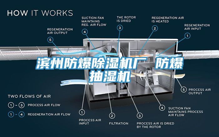 濱州防爆除濕機廠(chǎng) 防爆抽濕機