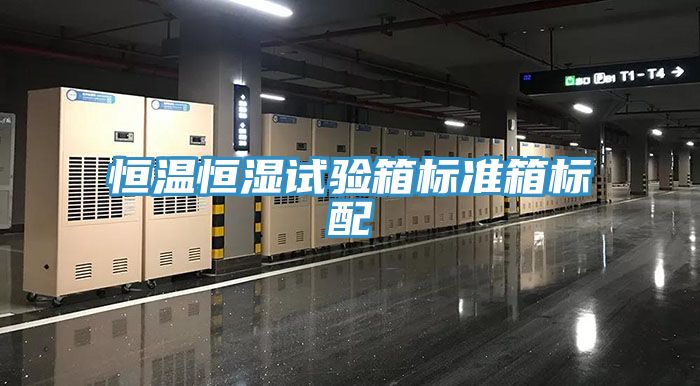 恒溫恒濕試驗箱標準箱標配
