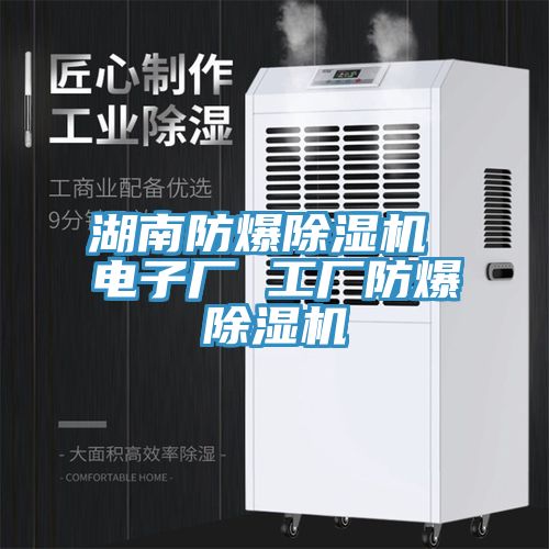 湖南防爆除濕機 電子廠(chǎng) 工廠(chǎng)防爆除濕機