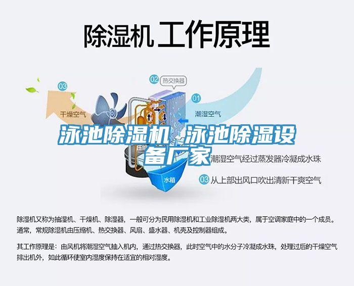 泳池除濕機 泳池除濕設備廠(chǎng)家