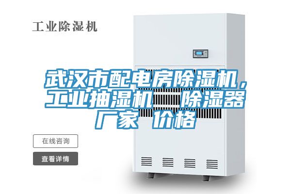 武漢市配電房除濕機，工業(yè)抽濕機  除濕器廠(chǎng)家 價(jià)格