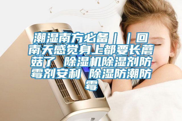潮濕南方必備｜｜回南天感覺(jué)身上都要長(cháng)蘑菇了 除濕機除濕劑防霉劑安利 除濕防潮防霉