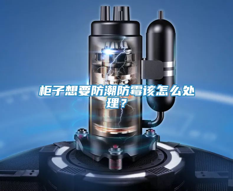 柜子想要防潮防霉該怎么處理？