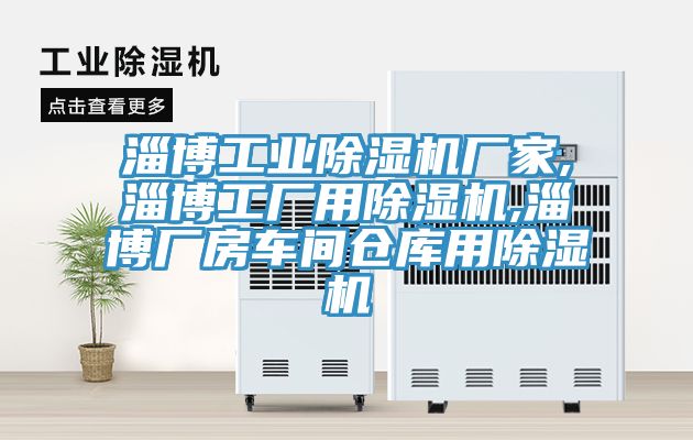 淄博工業(yè)除濕機廠(chǎng)家,淄博工廠(chǎng)用除濕機,淄博廠(chǎng)房車(chē)間倉庫用除濕機
