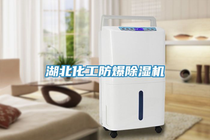 湖北化工防爆除濕機