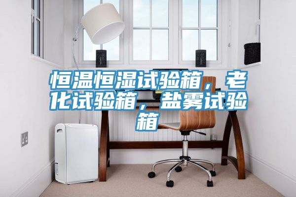 恒溫恒濕試驗箱，老化試驗箱，鹽霧試驗箱