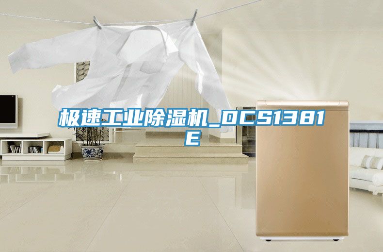 極速工業(yè)除濕機_DCS1381E
