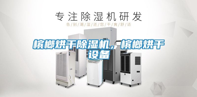 檳榔烘干除濕機，檳榔烘干設備