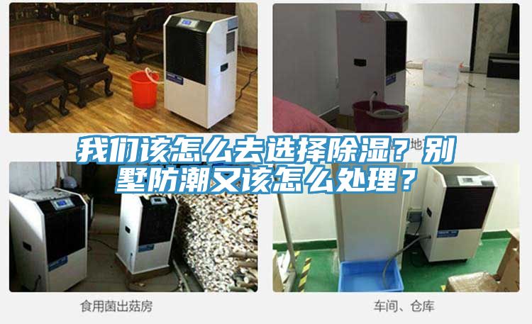 我們該怎么去選擇除濕？別墅防潮又該怎么處理？